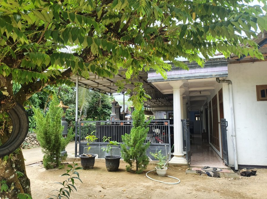 Mbah Wartam: